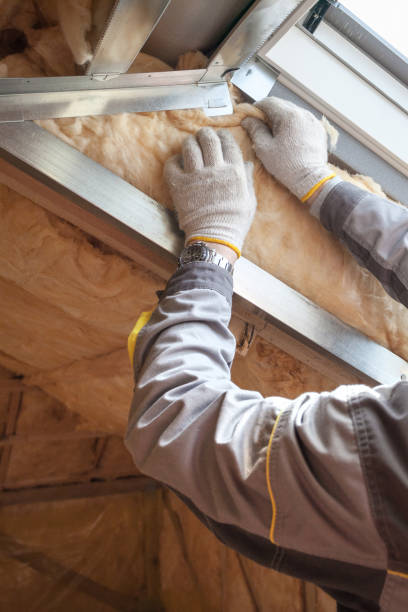Best Insulation Maintenance and Repair in Sandwich, IL