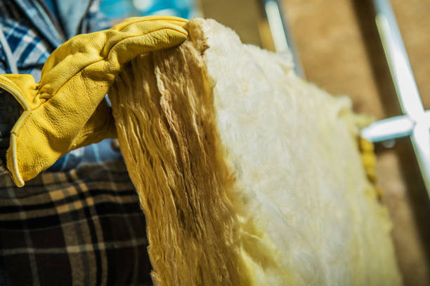Best Geographic-Specific Insulation Services in Sandwich, IL