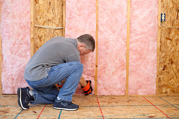 Best DIY Insulation Kits and Guidance in Sandwich, IL
