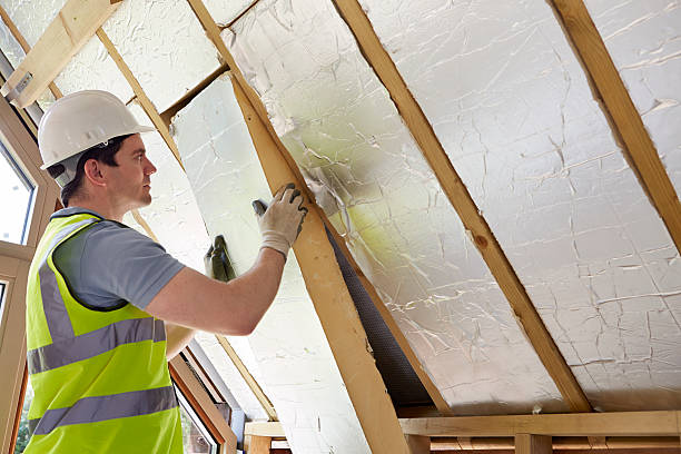 Best Insulation Maintenance and Repair in Sandwich, IL